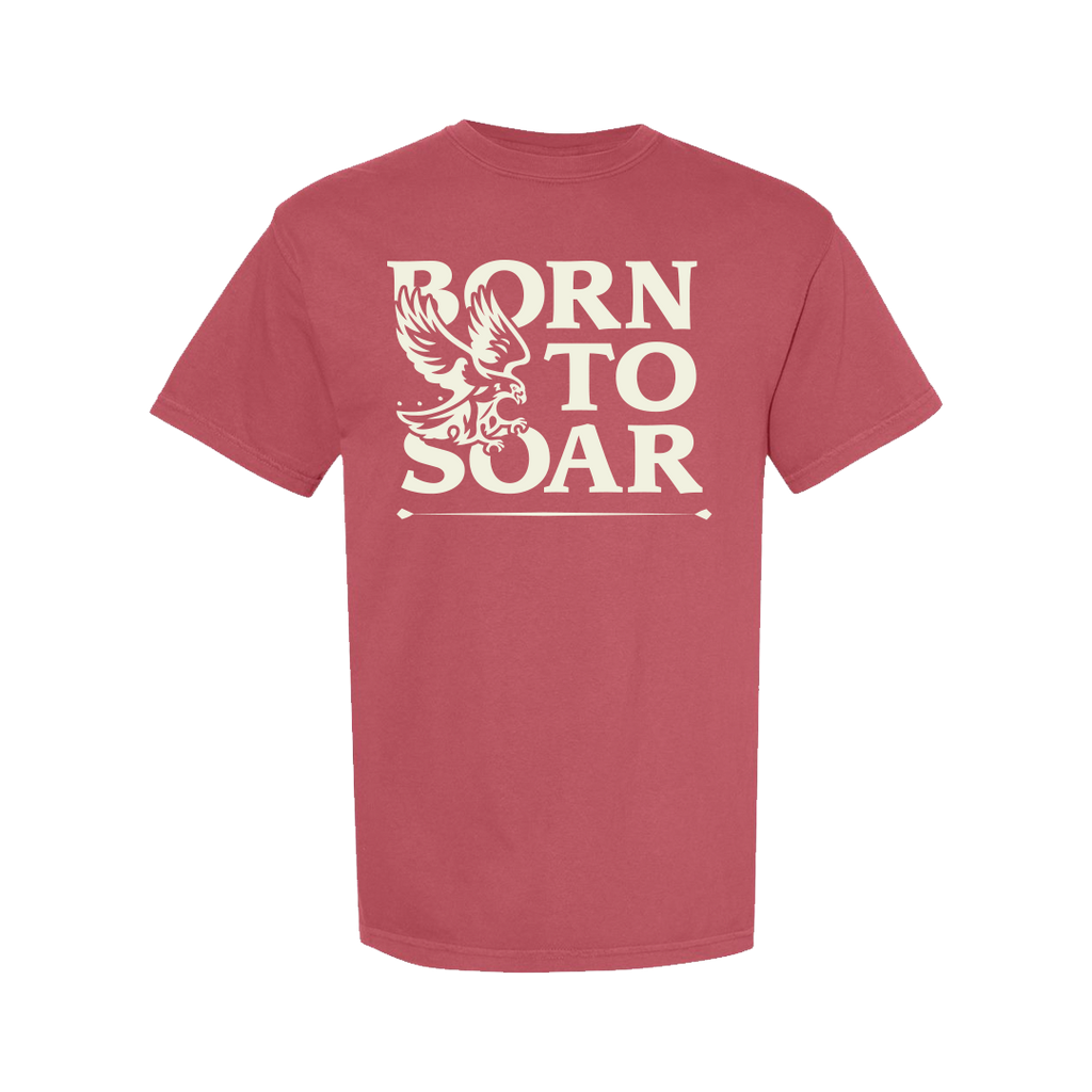 Born To Soar Tee
