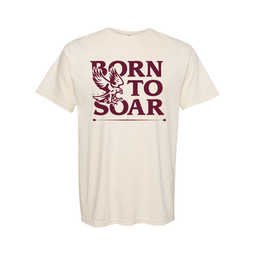 Born To Soar Tee