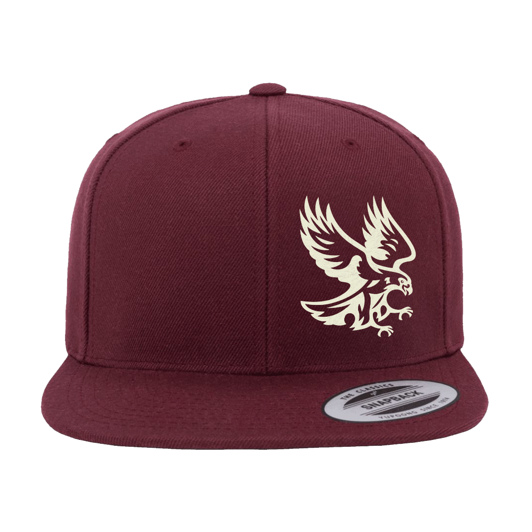 Hawks Flat Bill Snapback